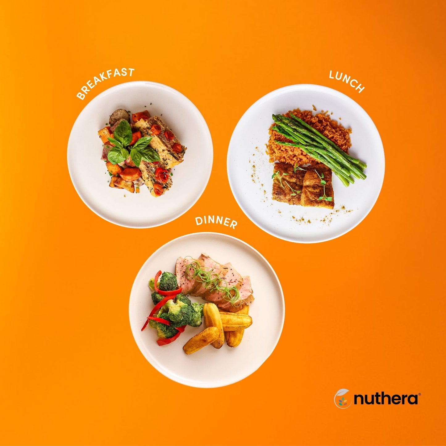 Paleo / Gluten-free (7-day Plan)