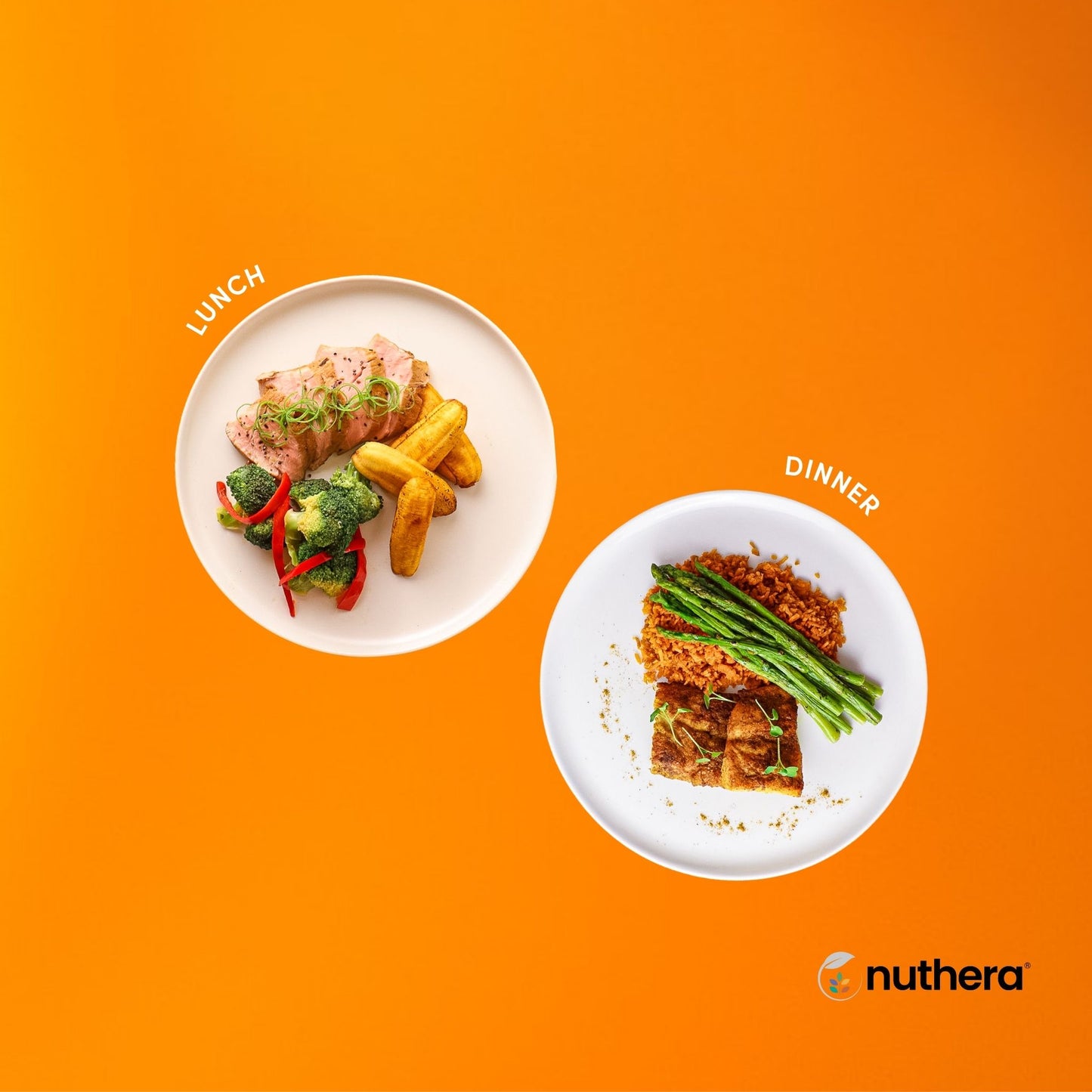 Paleo / Gluten-free (7-day Plan)